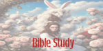 Bible Study