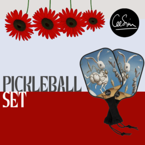 Pickleball Set